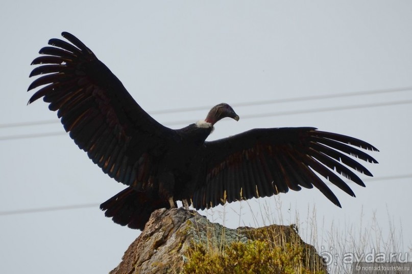 Американские горки (декабрь 2012-январь 2013). Часть 4