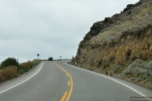 Американские горки (декабрь 2012-январь 2013). Часть 4