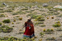 Американские горки (декабрь 2012-январь 2013). Часть 4