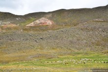 Американские горки (декабрь 2012-январь 2013). Часть 4