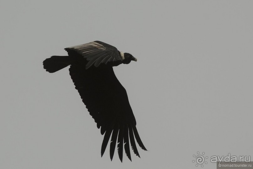 Американские горки (декабрь 2012-январь 2013). Часть 4