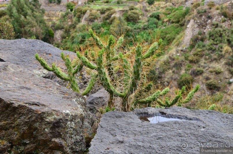 Американские горки (декабрь 2012-январь 2013). Часть 4