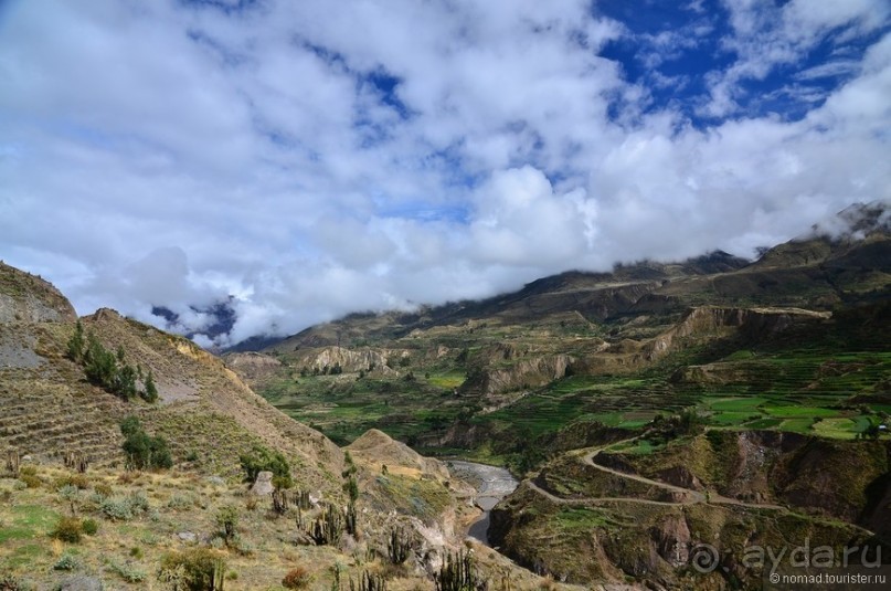 Американские горки (декабрь 2012-январь 2013). Часть 4