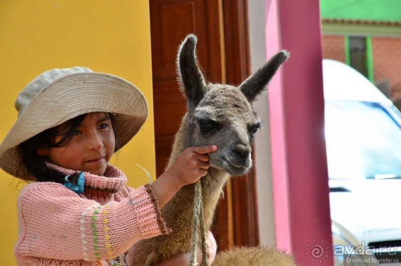 Американские горки (декабрь 2012-январь 2013). Часть 4