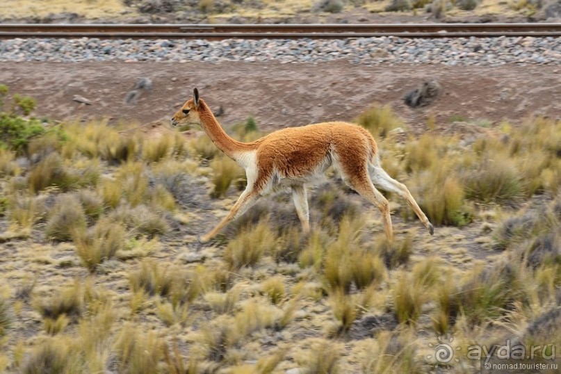 Американские горки (декабрь 2012-январь 2013). Часть 4
