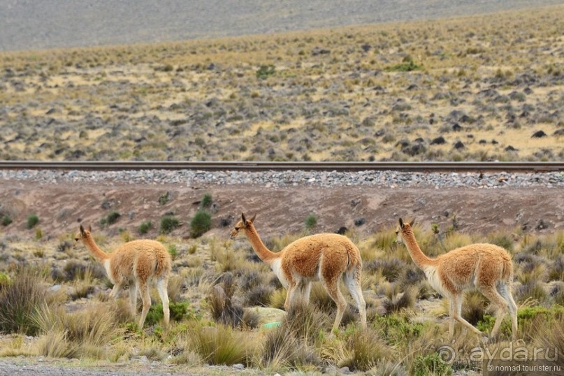 Американские горки (декабрь 2012-январь 2013). Часть 4