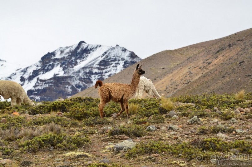 Американские горки (декабрь 2012-январь 2013). Часть 4