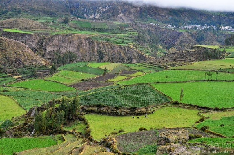 Американские горки (декабрь 2012-январь 2013). Часть 4