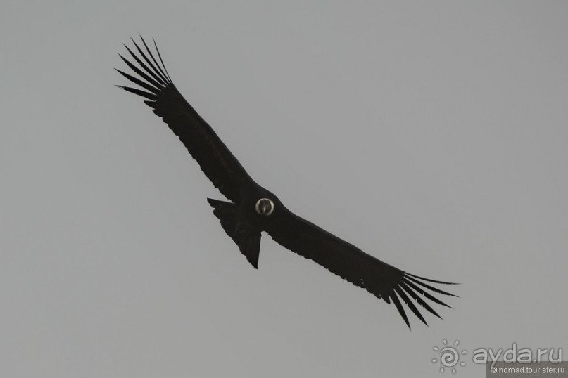 Американские горки (декабрь 2012-январь 2013). Часть 4