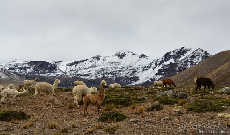Американские горки (декабрь 2012-январь 2013). Часть 4