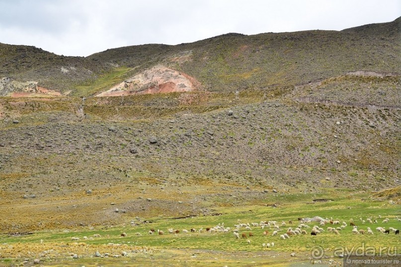 Американские горки (декабрь 2012-январь 2013). Часть 4