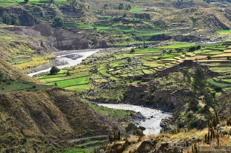 Американские горки (декабрь 2012-январь 2013). Часть 4