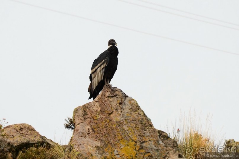 Американские горки (декабрь 2012-январь 2013). Часть 4