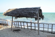 Акуна матата, или даешь сафари! Часть 5