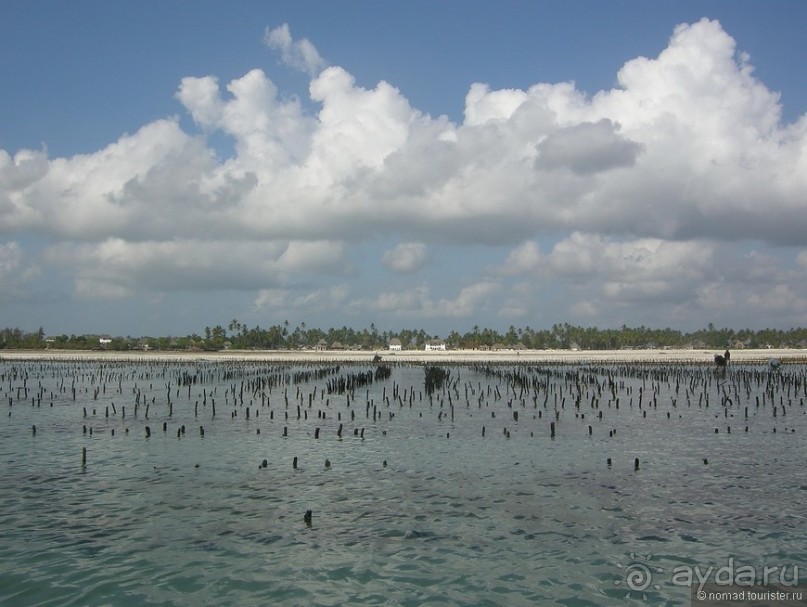 Акуна матата, или даешь сафари! Часть 5
