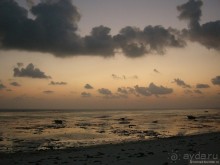 Акуна матата, или даешь сафари! Часть 5