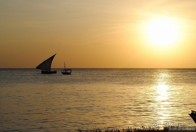 Акуна матата, или даешь сафари! Часть 5