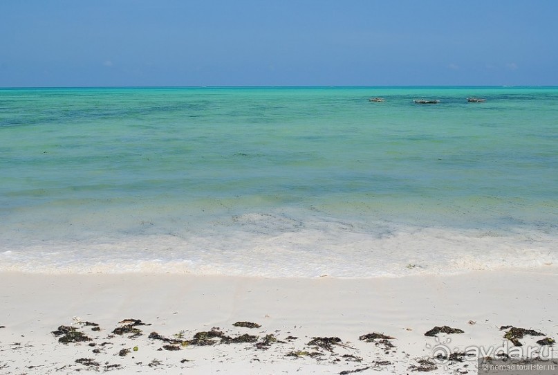 Акуна матата, или даешь сафари! Часть 5