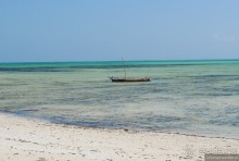 Акуна матата, или даешь сафари! Часть 5