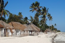 Акуна матата, или даешь сафари! Часть 5