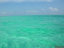 Акуна матата, или даешь сафари! Часть 5