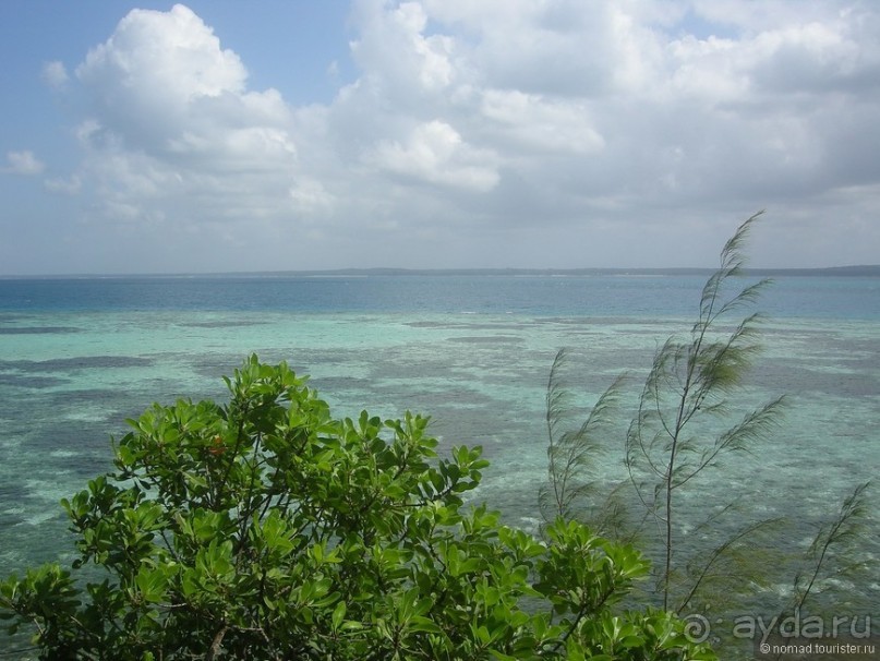 Акуна матата, или даешь сафари! Часть 5