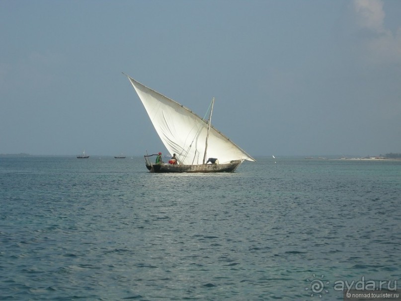 Акуна матата, или даешь сафари! Часть 5