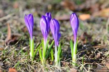 Скандинавские сказки. Хельсинки