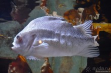 Скандинавские сказки. Хельсинки