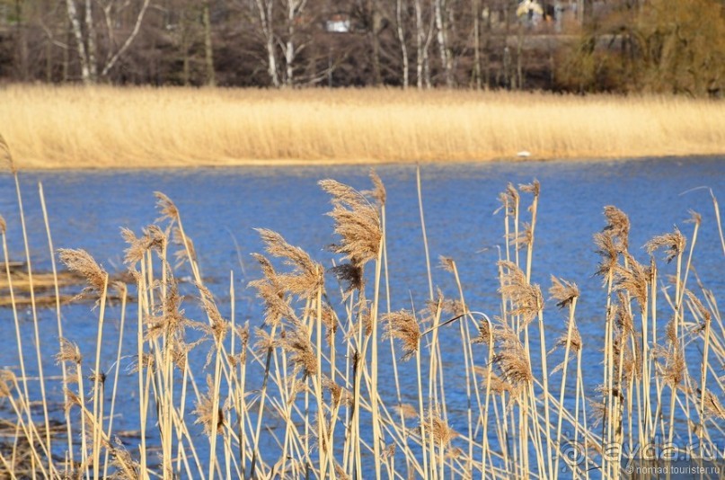 Скандинавские сказки. Хельсинки