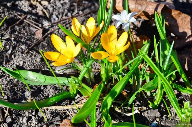 Скандинавские сказки. Хельсинки