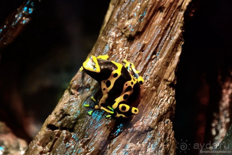 Скандинавские сказки. Хельсинки