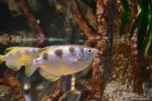 Скандинавские сказки. Хельсинки