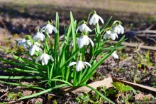 Скандинавские сказки. Хельсинки