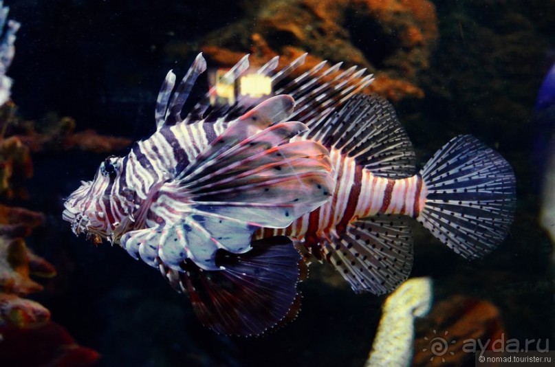 Скандинавские сказки. Хельсинки