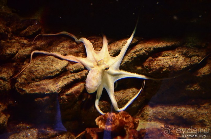 Скандинавские сказки. Хельсинки