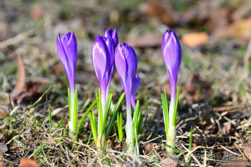 Скандинавские сказки. Хельсинки