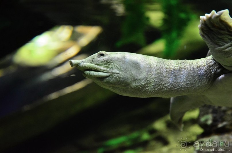 Скандинавские сказки. Хельсинки