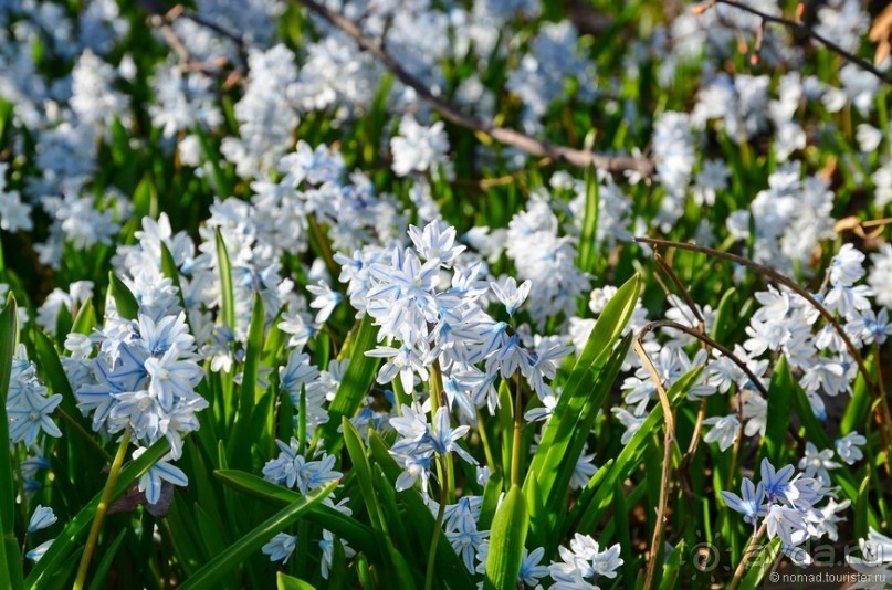 Скандинавские сказки. Хельсинки