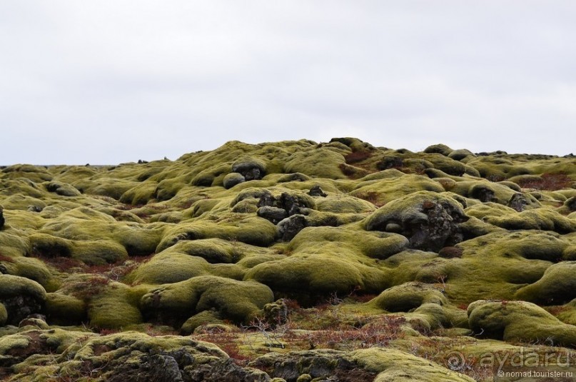 2226 километров по стране чудес. Исландия. Часть 4