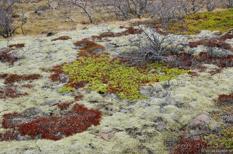 2226 километров по стране чудес. Исландия. Часть 4