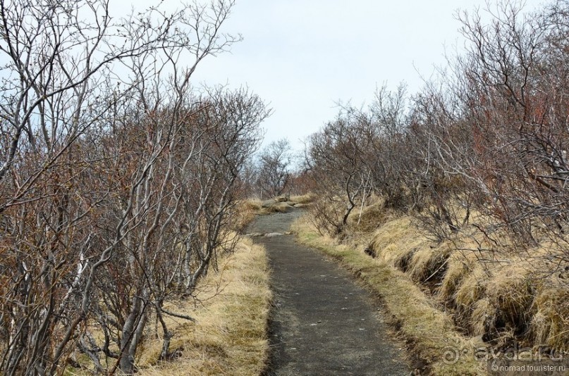 2226 километров по стране чудес. Исландия. Часть 4