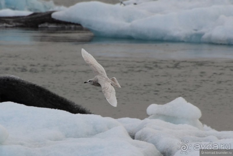 2226 километров по стране чудес. Исландия. Часть 4