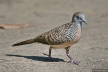 Азиатский квест, или поди туда, не знаю куда. Часть 1