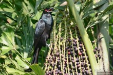 Азиатский квест, или поди туда, не знаю куда. Часть 1