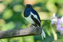 Азиатский квест, или поди туда, не знаю куда. Часть 1