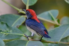 Азиатский квест, или поди туда, не знаю куда. Часть 1