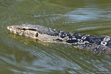 Азиатский квест, или поди туда, не знаю куда. Часть 1