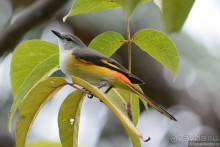 Азиатский квест, или поди туда, не знаю куда. Часть 1
