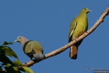 Азиатский квест, или поди туда, не знаю куда. Часть 1